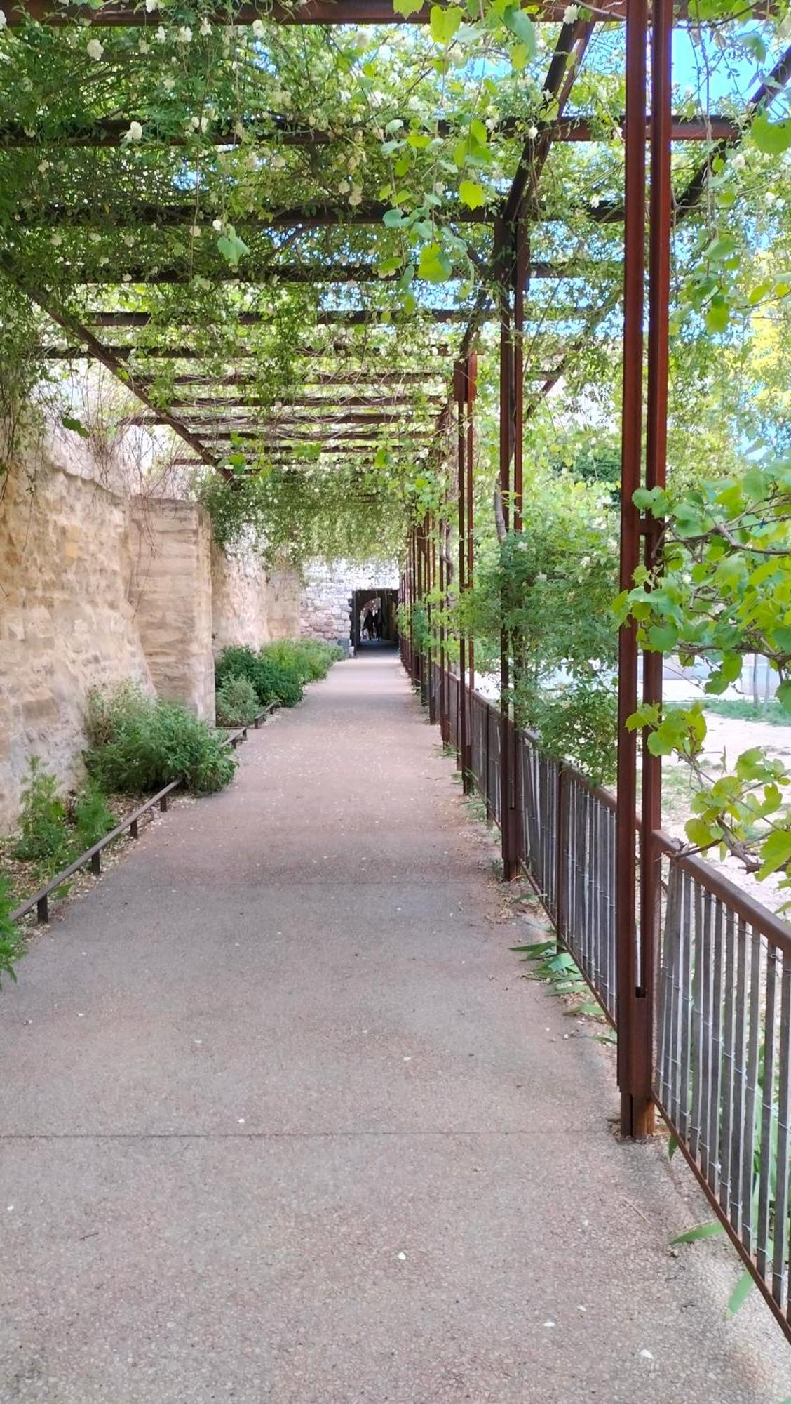 Studio Terrasse, Intra-Muros, Climatise Avec Wifi Avinhão Exterior foto